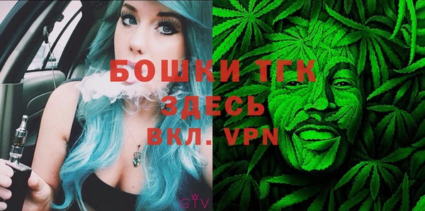 крисы Бронницы
