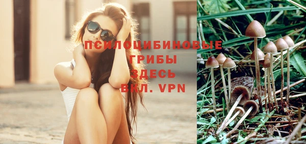 мескалин Бородино