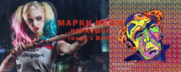 крисы Бронницы