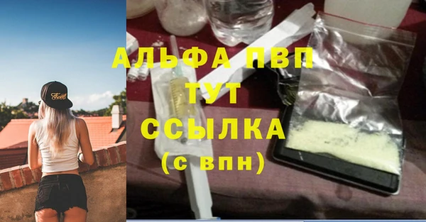 крисы Бронницы